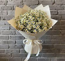 Букет цветов из:  Ромашки #REPLACE_PRED# Новосадовый